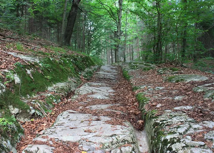 In Warmbad Appartement *